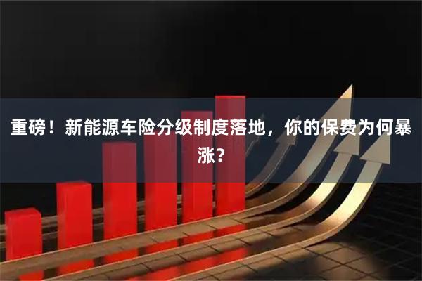 重磅！新能源车险分级制度落地，你的保费为何暴涨？