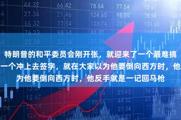 特朗普的和平委员会刚开张，就迎来了一个最难搞的刺头！卢卡申科第一个冲上去签字，就在大家以为他要倒向西方时，他反手就是一记回马枪