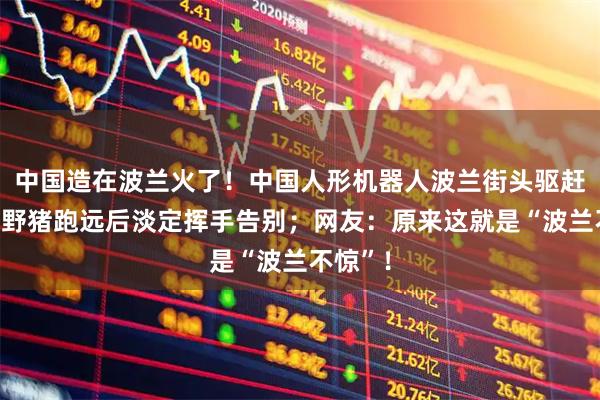中国造在波兰火了！中国人形机器人波兰街头驱赶野猪，野猪跑远后淡定挥手告别；网友：原来这就是“波兰不惊”！